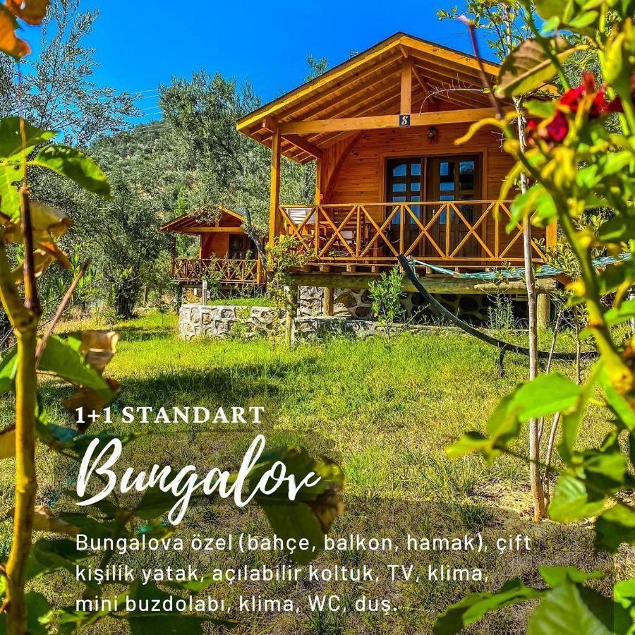Kazdaglari Saglikli Yasam Koeyue Hotel เอเดรมิท ภายนอก รูปภาพ